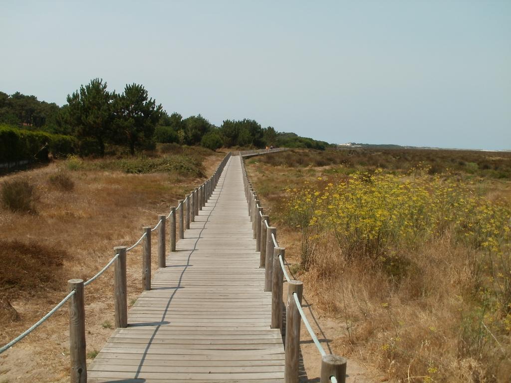 Bestvillas Park Ofir Esposende Kültér fotó